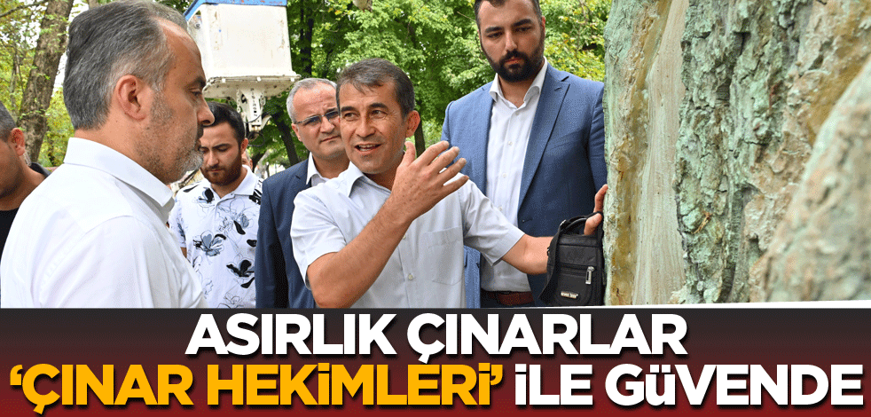 Asırlık çınarlar, ‘Çınar hekimleri’ ile güvende