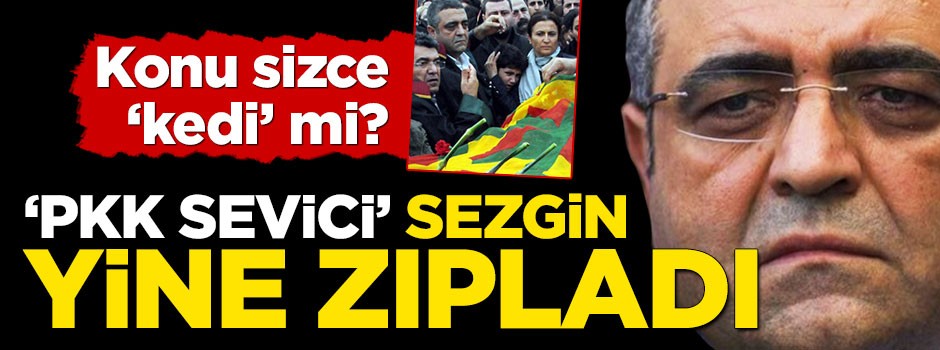 'Asker' kılıklı caniyi fırsat bilen CHP'li Sezgin yine zıpladı