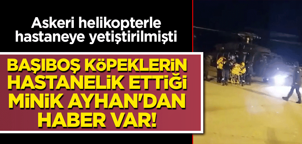 Askeri helikopterle hastaneye yetiştirilmişti... Başıboş köpeklerin hastanelik ettiği minik Ayhan'dan haber var