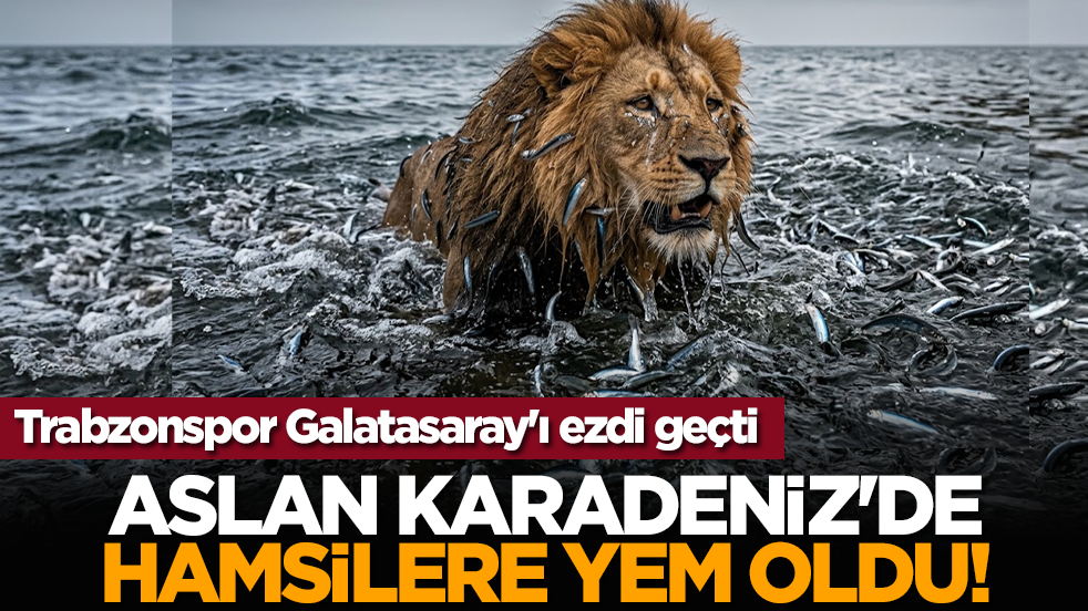 Aslan Karadeniz'de hamsilere yem oldu! Trabzonspor Galatasaray'ı ezdi geçti