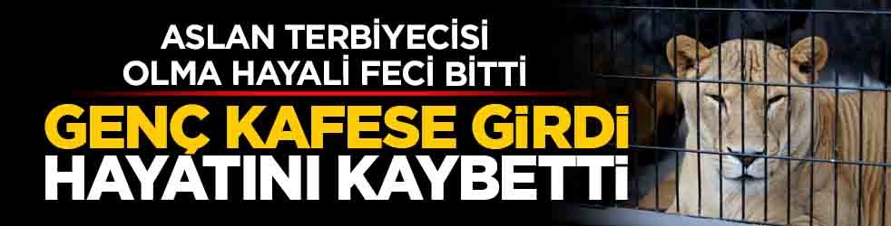 Aslan terbiyecisi olma hayali feci bitti: Brezilya’da genç kafese girdi hayatını kaybetti