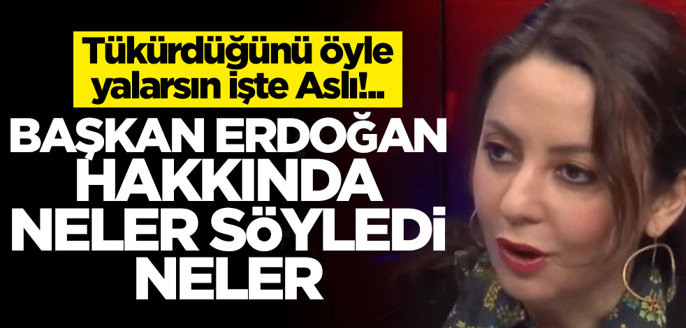 Aslı Aydıntaşbaş, Erdoğan hakkında neler söyledi neler