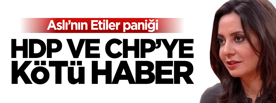 Aslı Aydıntaşbaş'tan CHP ve HDP'ye kötü haber