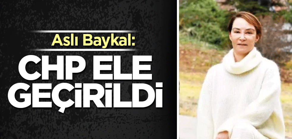 Aslı Baykal: CHP ele geçirildi