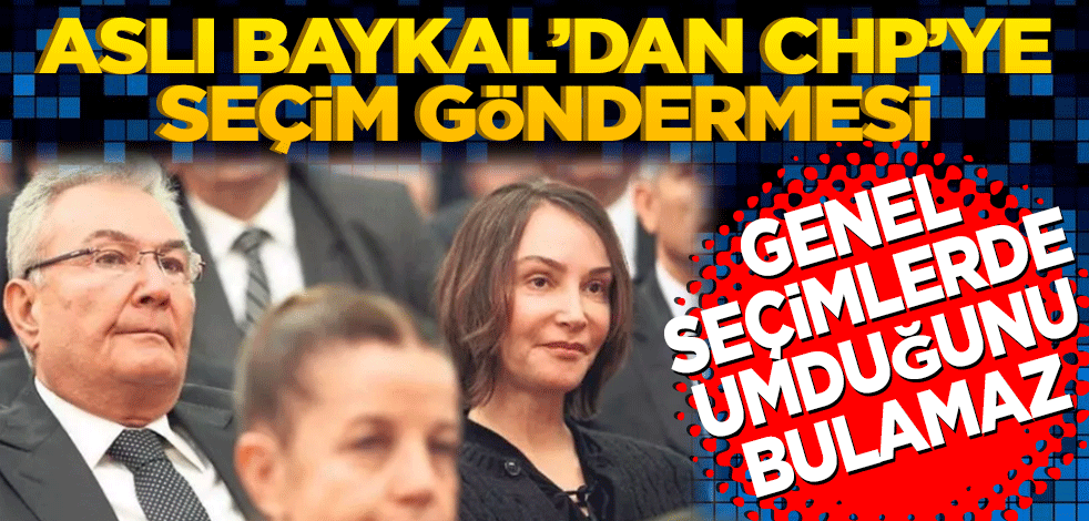 Aslı Baykal seçim sonuçlarında CHP'yi eleştirdi: Genel seçimde umduğunu bulamaz