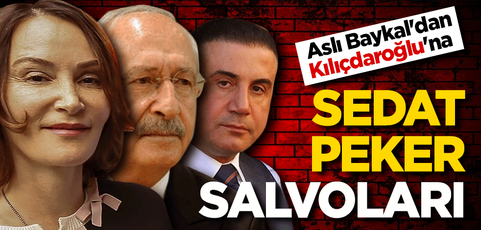 Aslı Baykal'dan Kılıçdaroğlu'na Sedat Peker salvoları