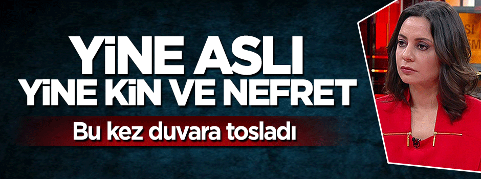 Aslı Aydıntaşbaş yine nefret kusunca duvara tosladı