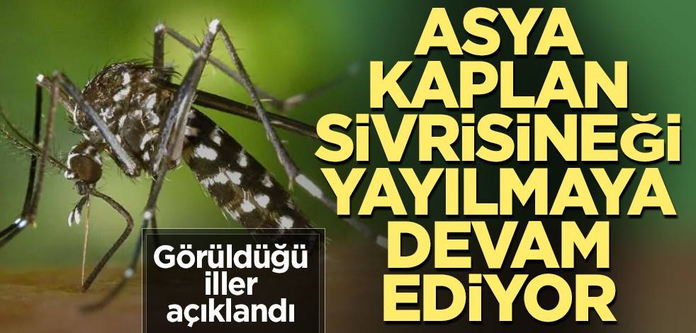 Asya Kaplan Sivrisineği yayılmaya devam ediyor