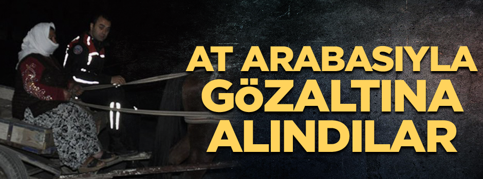 At arabasıyla gözaltına alındılar