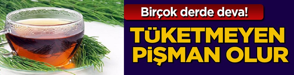 At kuyruğu otu nedir? At kuyruğu otunun faydaları: Herkesin derdine deva olacak kürü var... Bakın ne!