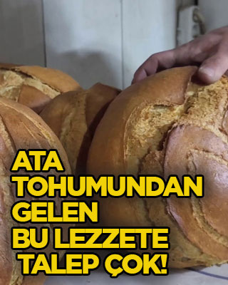 Ata tohumundan gelen bu lezzete talep çok!