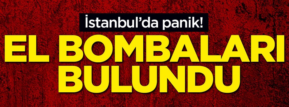 Ataşehir'de panik! El bombaları bulundu