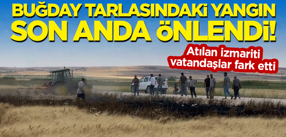 Atılan izmariti vatandaşlar fark etti: Buğday tarlasındaki yangını son anda önlendi!