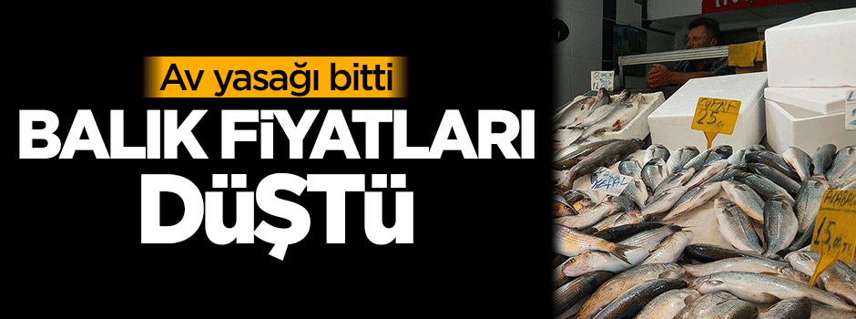 Av yasağı bitti, balık fiyatları düştü