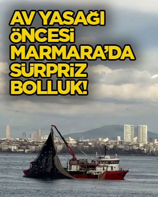 Av yasağı öncesi Marmara’da sürpriz bolluk!