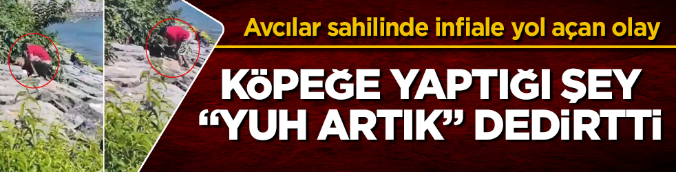 Avcılar sahilinde infiale yol açan olay! Köpeğe yaptığı şey "Yuh artık" dedirtti