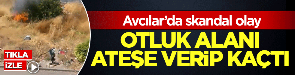 Avcılar’da skandal olay! Yaşlı adam otluk alanı ateşe verip kaçtı