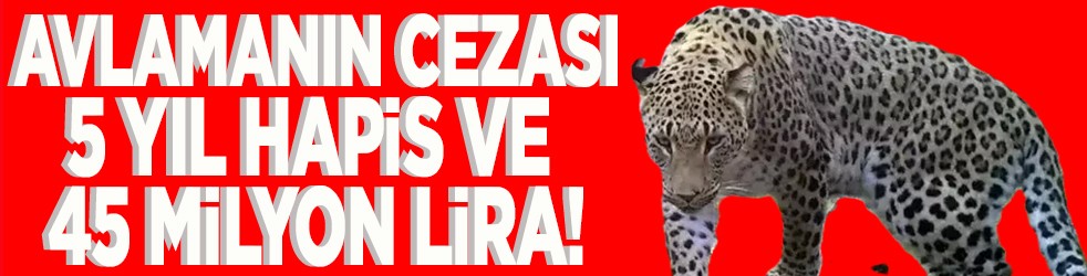 Avlamanın cezası 5 yıl hapis ve 45 milyon lira!