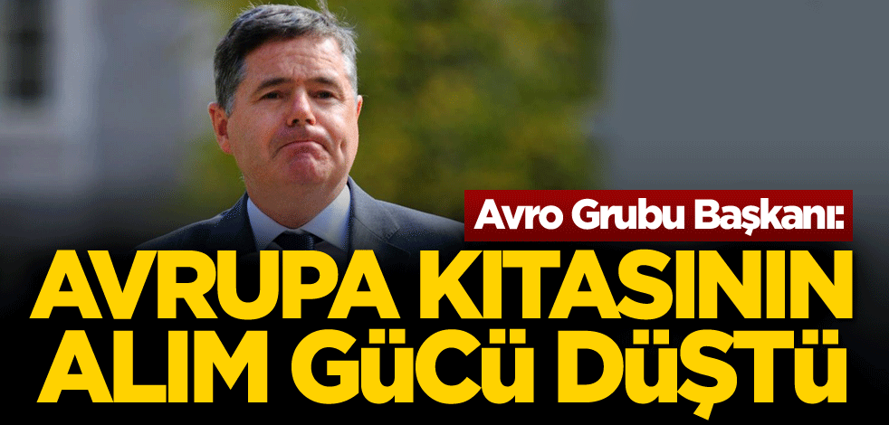Avro Grubu Başkanı: Avrupa kıtasının alım gücü düştü