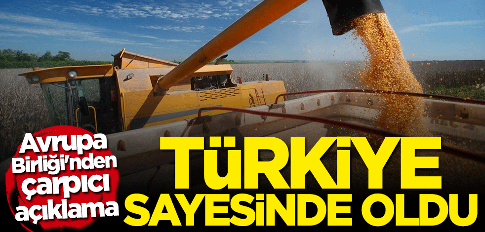 Avrupa Birliği'nden çarpıcı açıklama: Türkiye sayesinde oldu