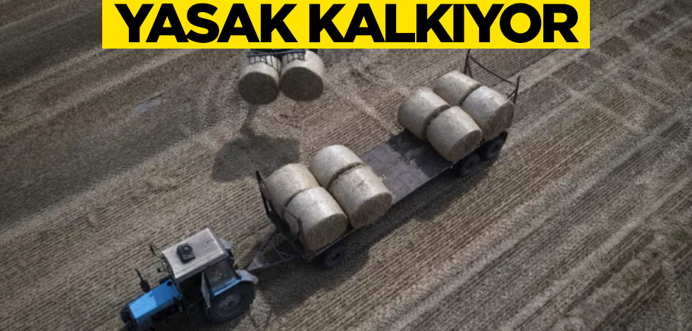 Avrupa Birliği'nden takıl ithalatı kararı! 5 ülkeyi doğrudan ilgilendiriyor