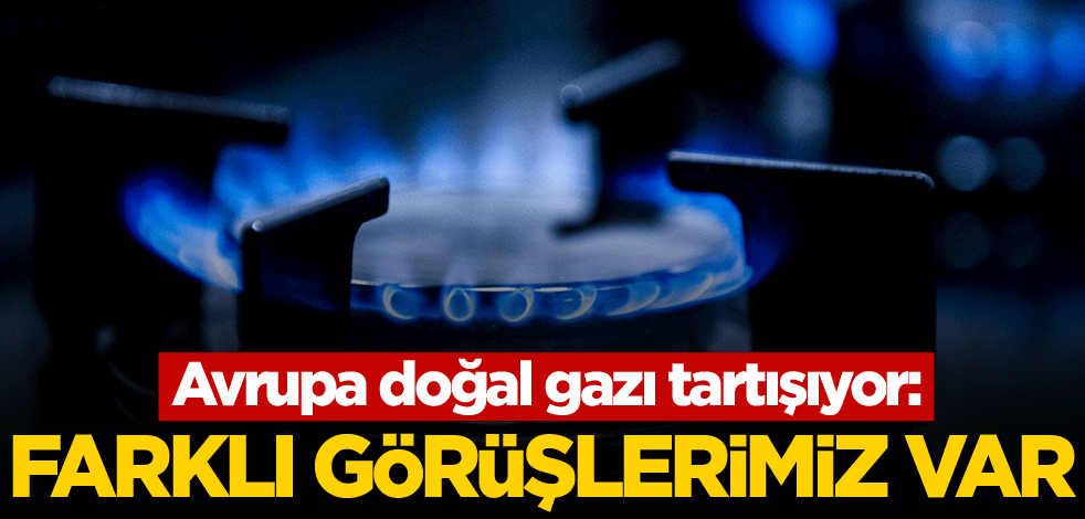 Avrupa doğal gazı tartışıyor: Farklı görüşlerimiz var