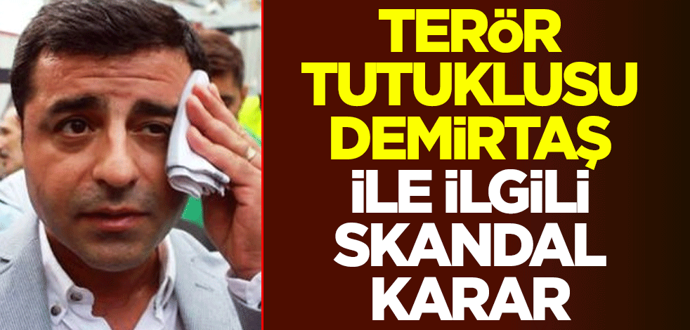 Avrupa İnsan Hakları Mahkemesi'nden skandal Selahattin Demirtaş kararı