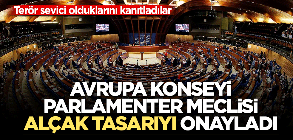 Avrupa Konseyi Parlamenter Meclisi alçak tasarıyı onayladı