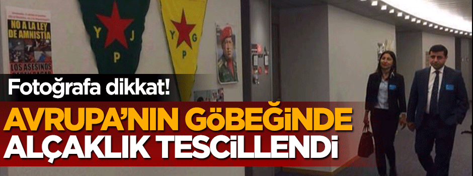 Avrupa Parlamentosu ve HDP'nin alçaklığı tescillendi