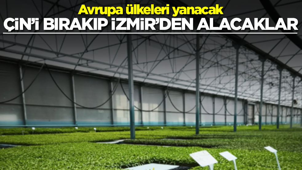 Avrupa ülkeleri yanacak: Çin'i bırakıp İzmir'den alacaklar