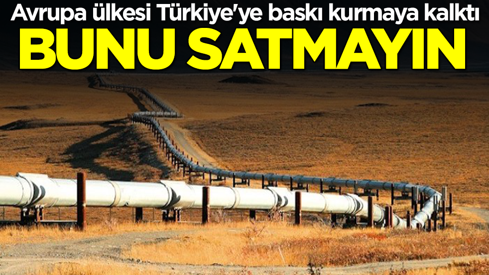 Avrupa ülkesi Türkiye'ye baskı kurmaya kalktı: Bunu satmayın