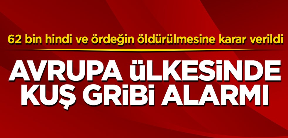 Avrupa ülkesinde kuş gribi alarmı! 62 bin hindi ve ördeğin öldürülmesine karar verildi