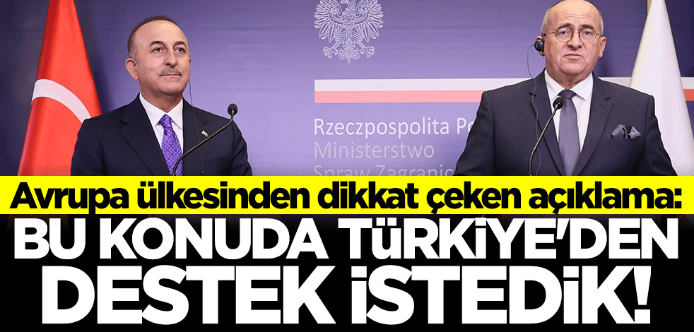 Avrupa ülkesinden dikkat çeken açıklama: Bu konuda Türkiye'den destek istedik