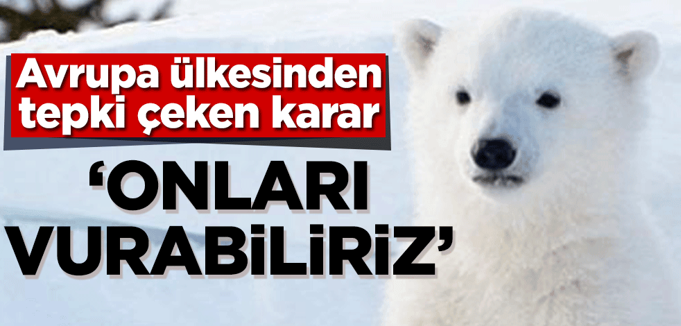 Avrupa ülkesinden tepki çeken karar! ‘Onları vurabiliriz’