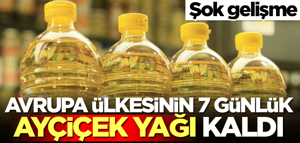 Avrupa ülkesinin 7 günlük ayçiçek yağı kaldı! Şok gelişme