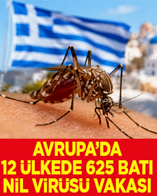 Avrupa'da bu yıl 12 ülkede 625 Batı Nil virüsü vakası tespit edildi