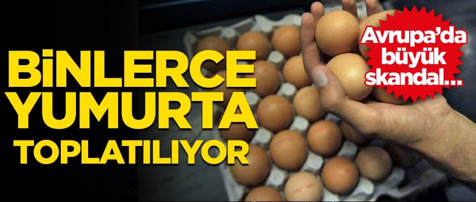 Avrupa’da büyük skandal… Binlerce yumurta toplatılıyor
