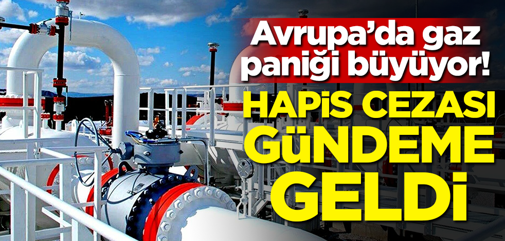 Avrupa'da enerji paniği büyüyor! Hapis cezası gündeme geldi