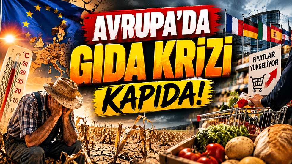 Avrupa’da gıda krizi kapıda! Rekolte çöktü, fiyat alarmı verildi