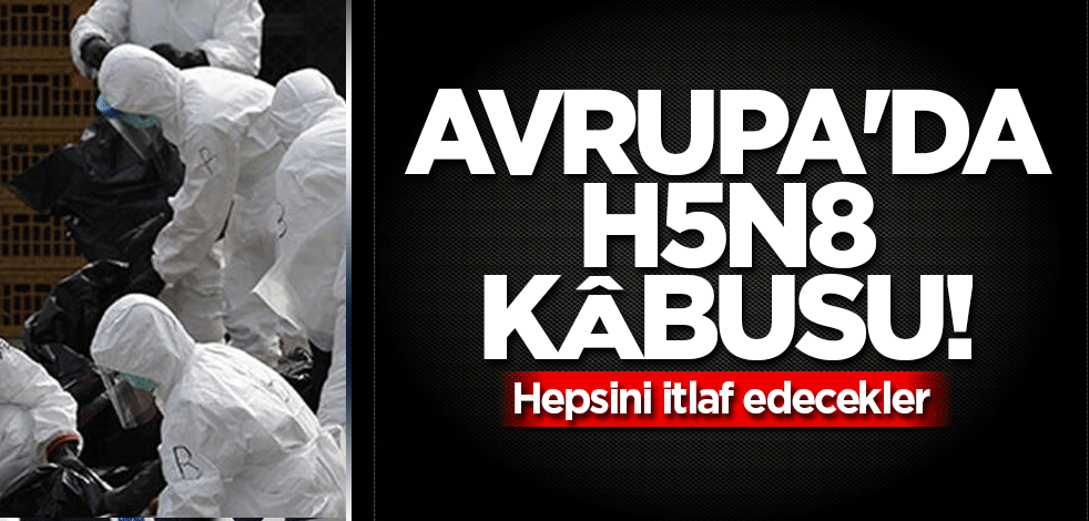 Avrupa'da H5N8 kâbusu!
