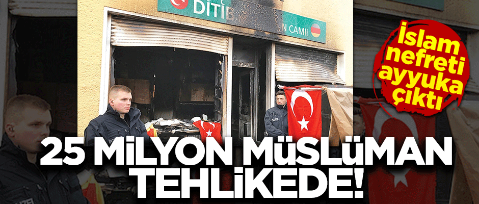 Avrupa'da İslam nefreti ayyuka çıktı! Teröristlerin hiçbiri ceza almadı