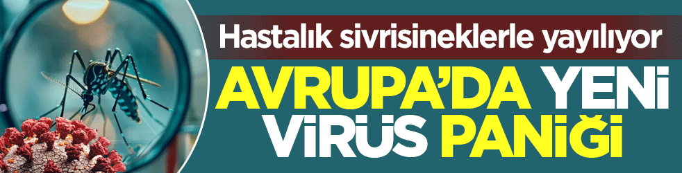 Avrupa'da yeni virüs paniği: Hastalık sivrisineklerle yayılıyor