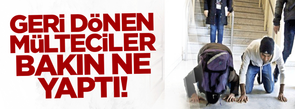 Avrupa'dan geri dönen mülteciler yeri öptü