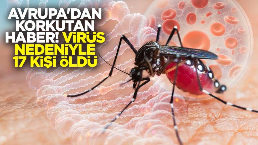 Avrupa'dan korkutan haber! Batı Nil virüsü nedeniyle 17 kişi öldü