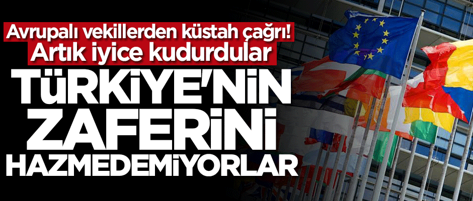Avrupalı vekillerden küstah Türkiye çağrısı