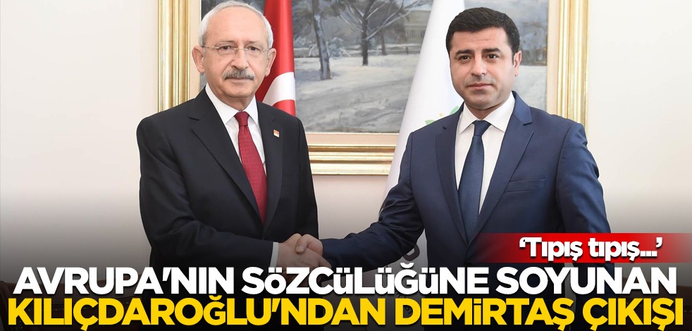Avrupa'nın sözcülüğüne soyunan Kılıçdaroğlu'ndan Demirtaş çıkışı! "Tıpış tıpış..."