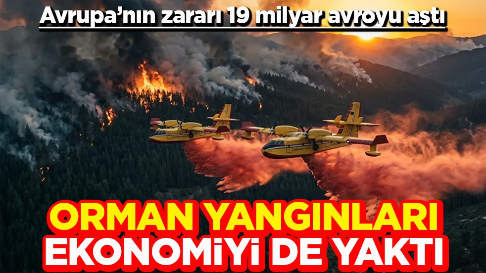 Avrupa’nın zararı 19 milyar avroyu aştı Orman yangınları ekonomiyi de yaktı