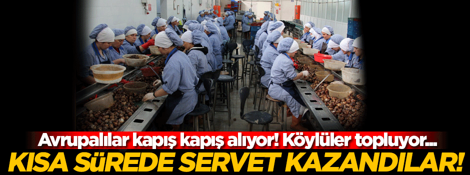 Avrupa'ya yılda 1500 ton salyangoz ihracı yapıldı