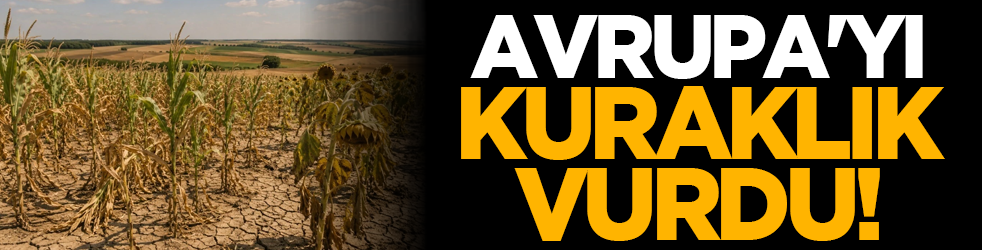 Avrupa'yı kuraklık vurdu!