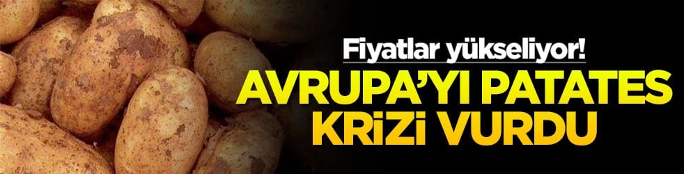 Avrupa’yı patates krizi vurdu: Fiyatlar yükseliyor